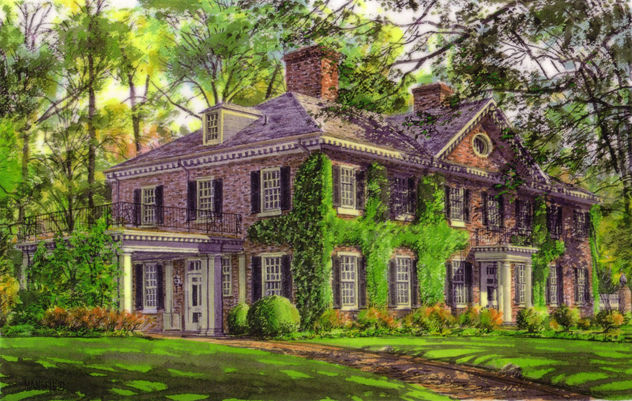 Ivy House - House Portrait