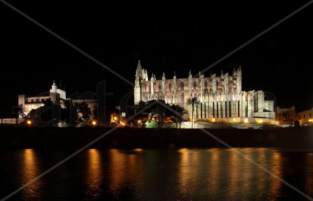 Cathedral in Palma de Mallorca at night 