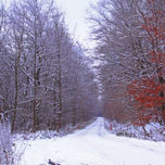 Landscapes thumbnail 2
