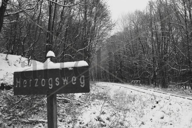 Herzhogs Weg Viajes Blanco y Negro (Digital)