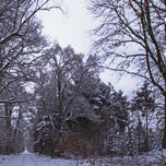 Landscapes thumbnail 1
