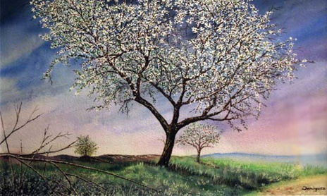 watercolor