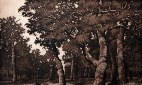 printmaking techniques