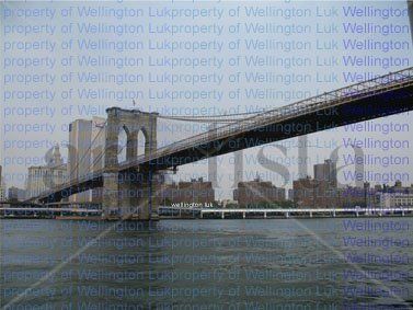 Wellington Luk - Brooklin Bridge 2 - Photography Arquitectura e interiorismo Color (Digital)