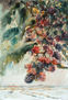 clusters of mulberrys