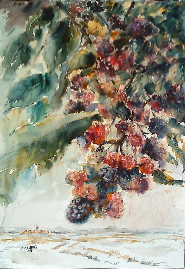 clusters of mulberrys