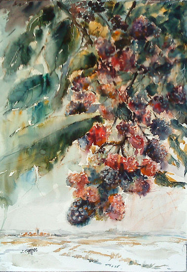 clusters of mulberrys Watercolour Paper Others