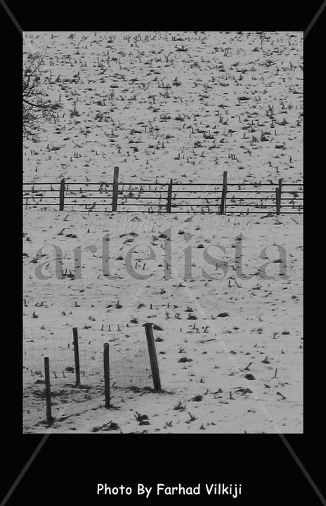 Fence