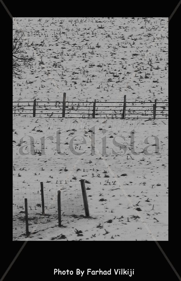 fence