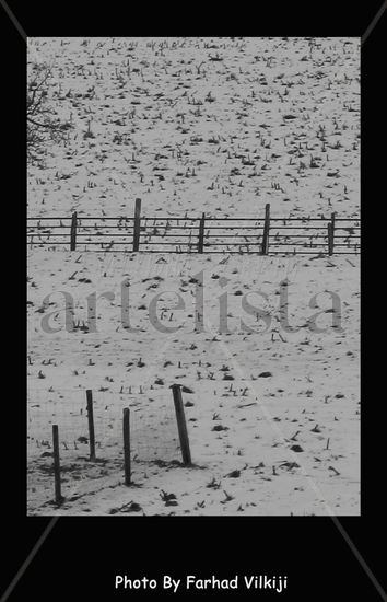 fence Conceptual/Abstracto Blanco y Negro (Digital)