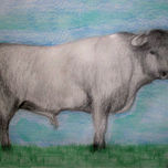 DIBUJO- ESTUDIO DE TOROS thumbnail 1
