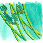 mundo vegetal thumbnail 1
