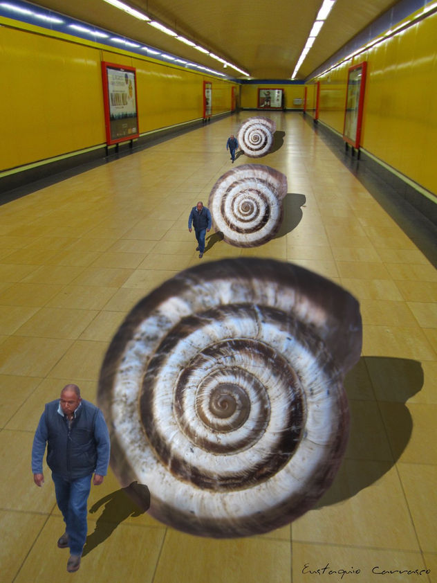 Los caracoles de la Galería, (Snails Gallery)