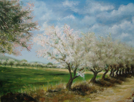 Camino de ercavica
