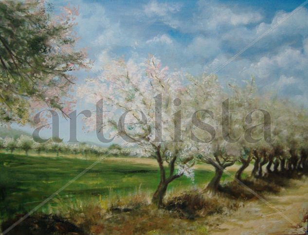 camino de ercavica Oil Canvas Landscaping