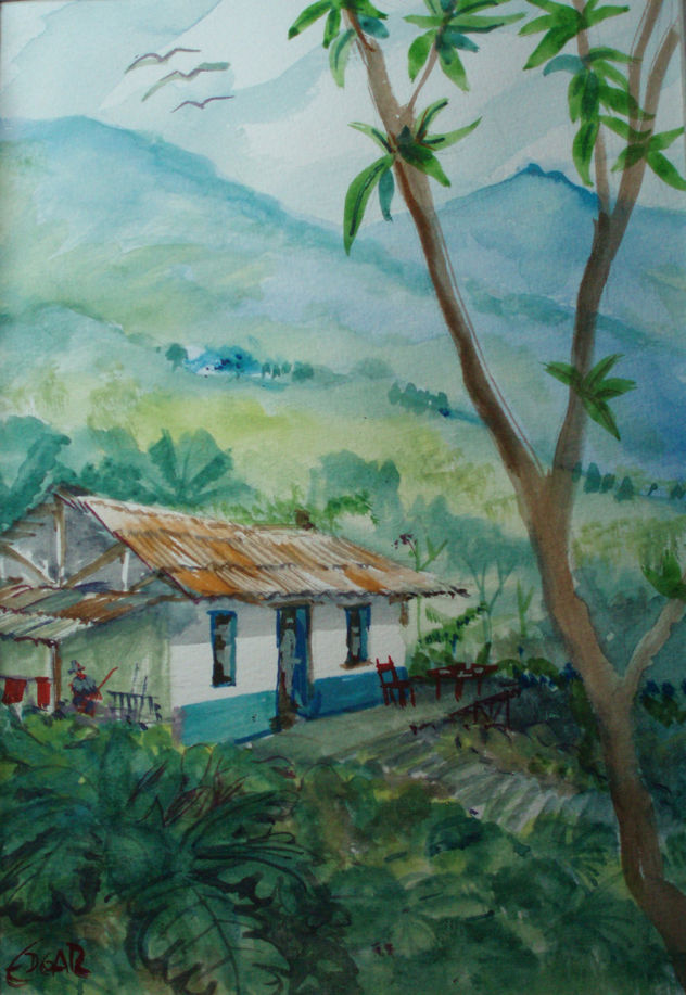 Costa Rica , Sus fincas