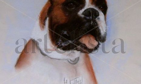 RETRATOS DE RAZAS DE PERROS