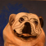 RETRATOS DE RAZAS DE PERROS thumbnail 1