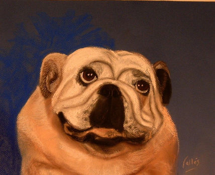 Bulldog