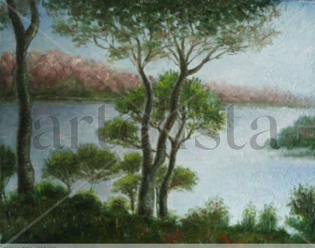 pantano de san juan