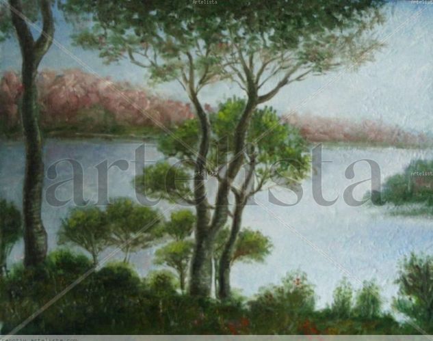 pantano de san juan Oil Canvas Landscaping