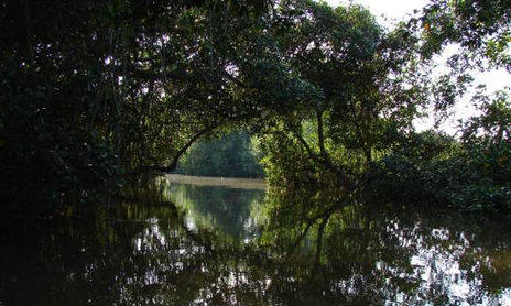 Naturaleza