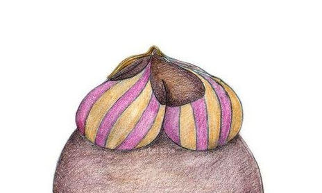 ILUSTRACIONES