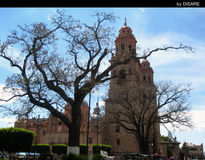 Morelia