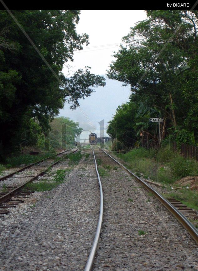Tren