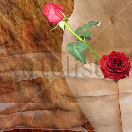 Rosa y Espiga