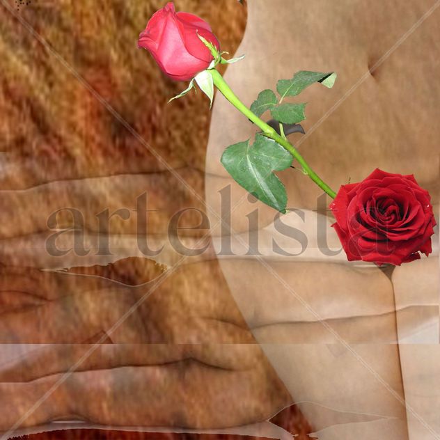 Rosa y Espiga