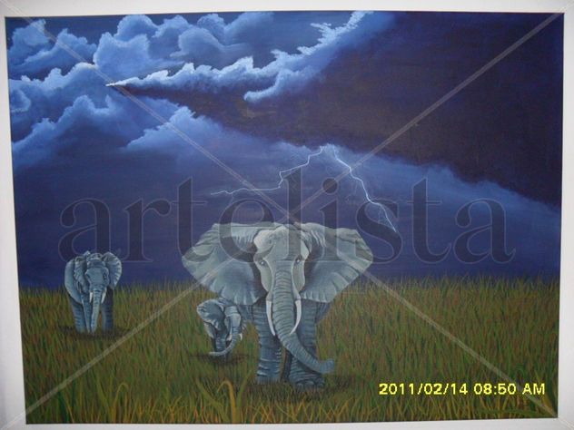 TORMENTA