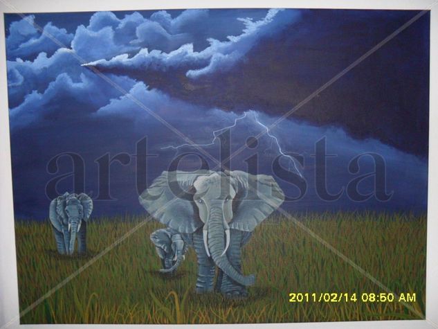 TORMENTA Acrylic Canvas Landscaping