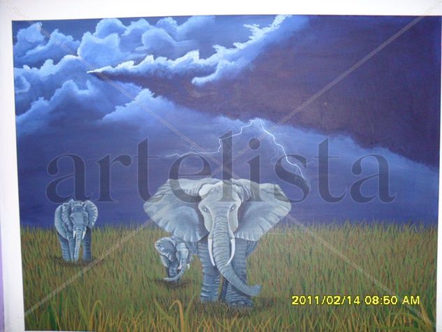 TORMENTA Acrylic Canvas Landscaping