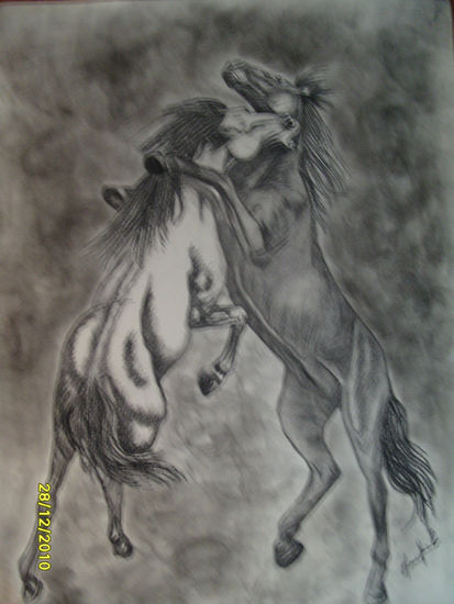 caballos 4 