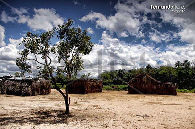 Apure