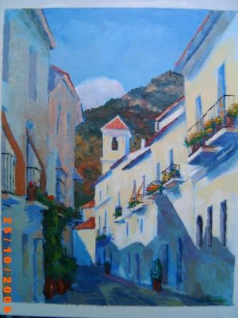 Calle de Frigiliana Acrylic Panel Landscaping