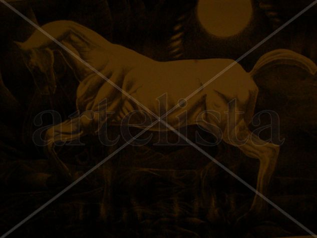 caballo de noche Oil Canvas Animals