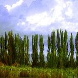 Fotografías Intervenidas thumbnail 1