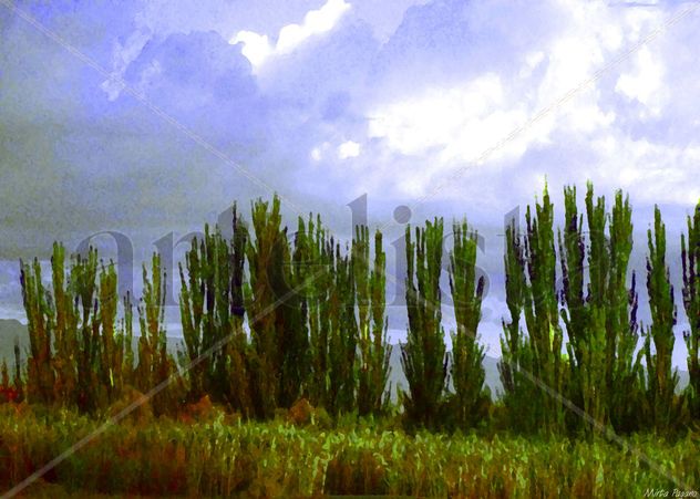 Paisaje de verano