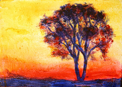 Atardecer solitario