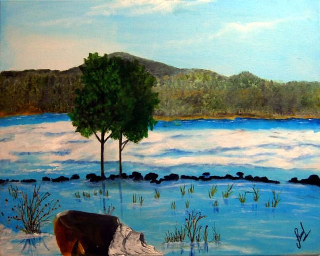 Rio Oil Canvas Landscaping