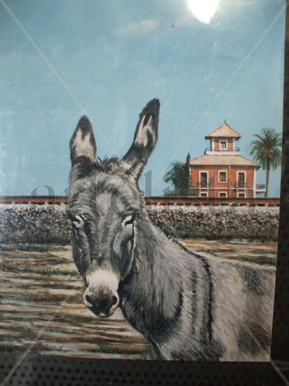 burro Oil Canvas Others