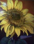 girasol