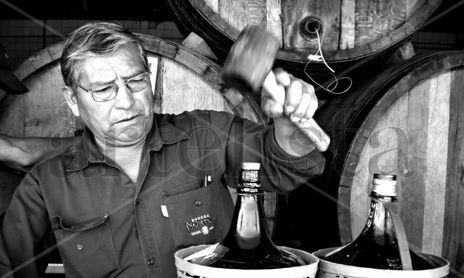 " Vinos & Viñedos en tierras Mendocinas "