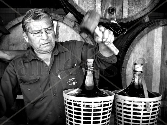 " Vinos & Trabajo " Fotoperiodismo y documental Blanco y Negro (Digital)