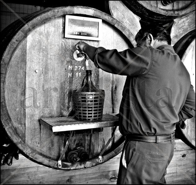 " Vinos & Trabajo "