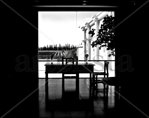 " Ventana a los Viñedos " Fotoperiodismo y documental Blanco y Negro (Digital)