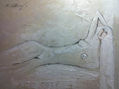 desnudo