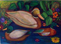 Patos Irlandeses